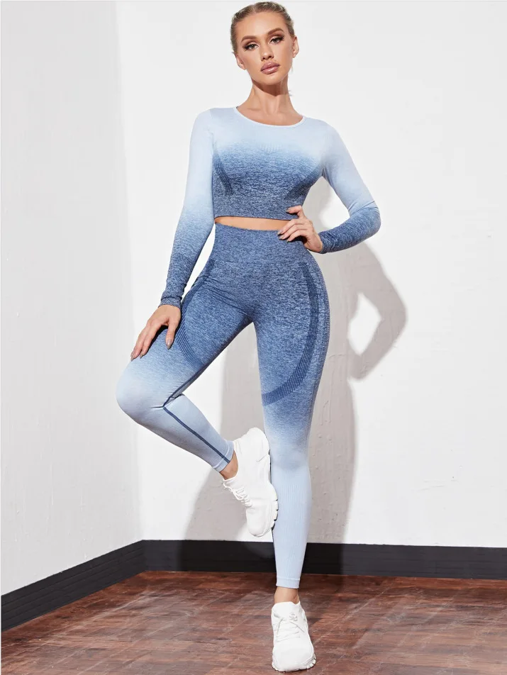 Seamless Yoga Sets Sports Fitnes High Waist Hip Raise Pants Long-Sleeved Suits Workout Clothes Gym Shorts Set for Women